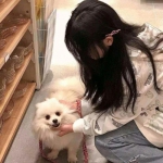 猛扔战士游戏下载
